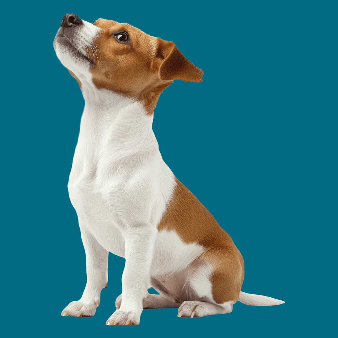 An image of a puppy illustrating the simplicity of the Guardian security plugin